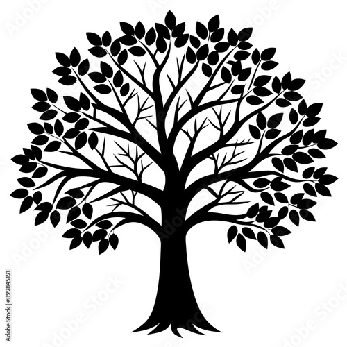 Tree Vector
