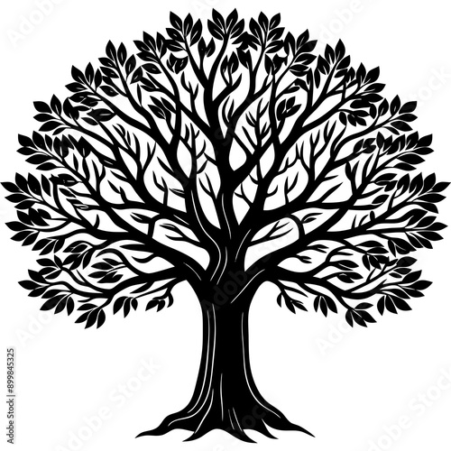 tree with roots