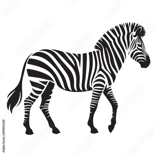  zebra Silhouette vector white back ground