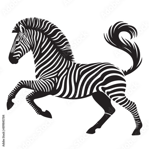  zebra Silhouette vector white back ground