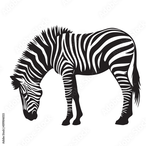  zebra Silhouette vector white back ground