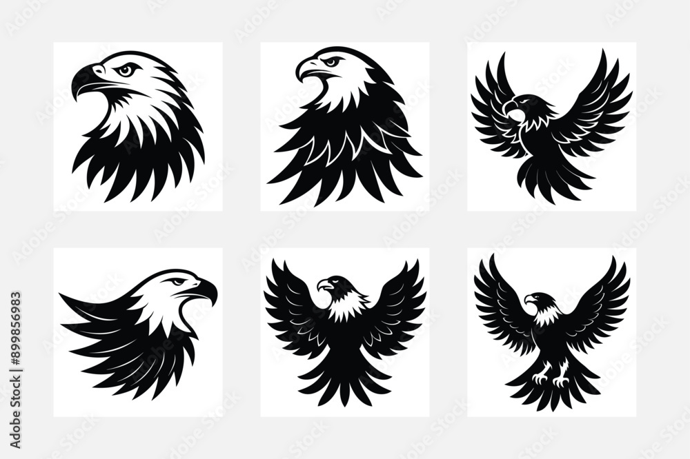 Obraz premium Eagle silhouette set. Eagle illustration