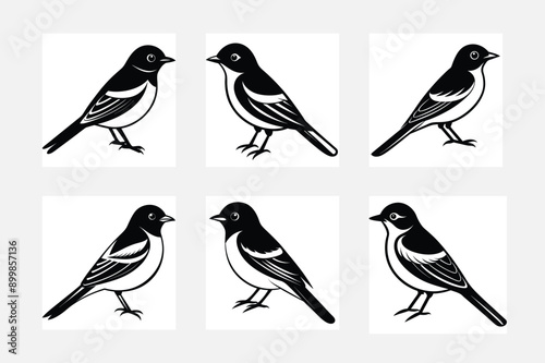 Wallpaper Mural Beautiful birds logo icon vector illustrator Torontodigital.ca