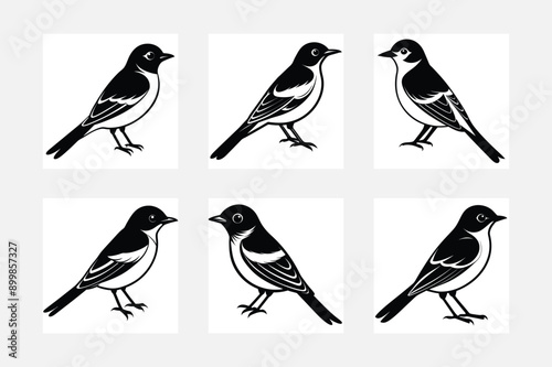 bird black silhouette vector art illustration bundle set