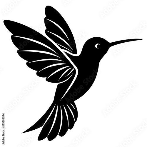 Black hummingbird vector silhouette 