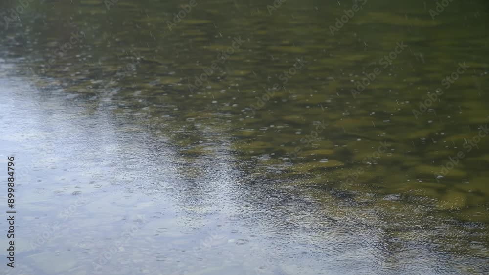 Rain drops on water. Rainfall sprinkle scene on a rainy weather. Raindrops ripple also visible over the surface of water. Rain drops on water. Rainfall sprinkle scene on a rainy weather. Raindrops ripple also visible over the surface of water.