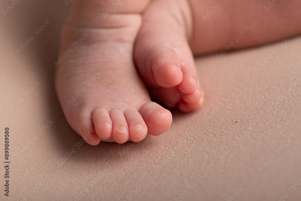 Little feet and hands and head Newborn baby body part details close up 