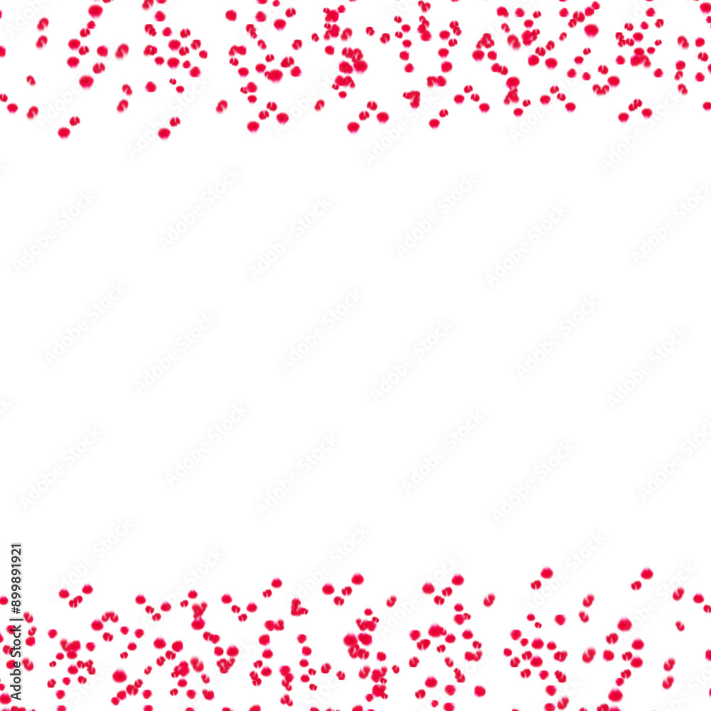 Red rose petals border frame isolated on white background Red rose petals border frame isolated on white background