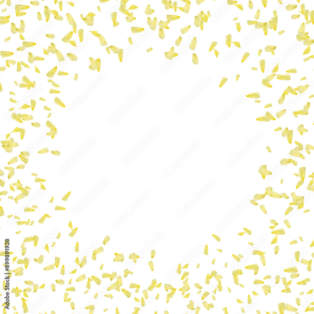 Yellow flowers petals circle frame png background Yellow flowers petals circle frame png background