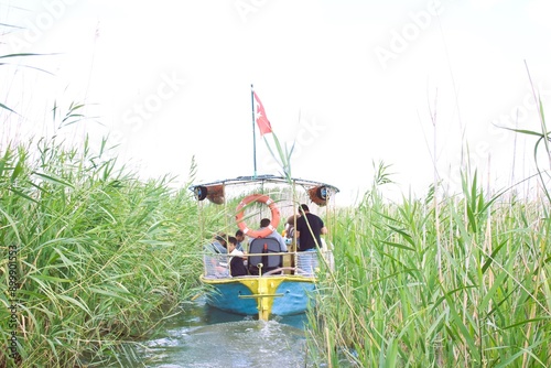 grass on the river