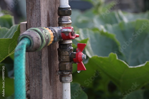 hose with water drops