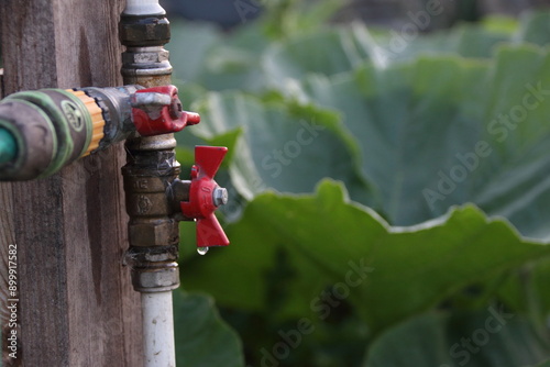 water tap in garden