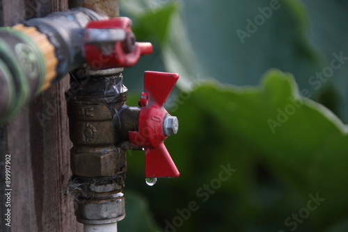 fire hydrant in garden