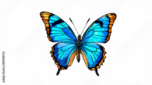 Vibrant Blue Butterfly Illustration on White Background for Nature and Wildlife-Themed Designs