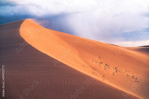Fototapeta Naklejka Na Ścianę i Meble -  sand in the winds