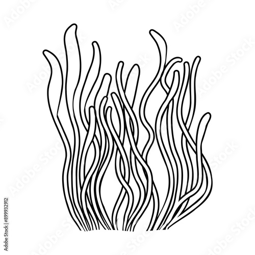 Underwater sea weed, laminaria spirulina seaweed sketch icon.