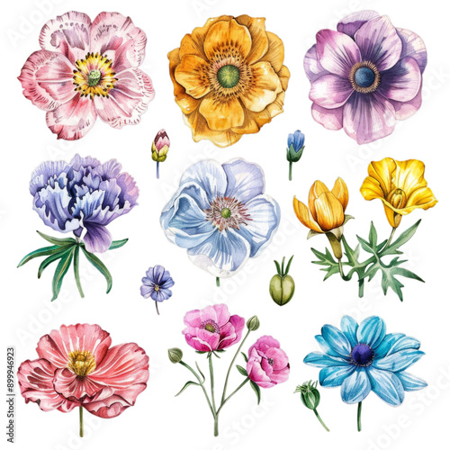 Watercolor Floral Illustrations for Spring and Summer Design: Print, Card, Poster