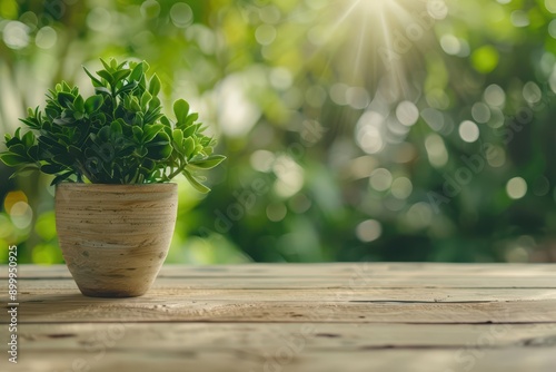 Wood Table Cozy Style Garden View A cozy wood table exudes warmth