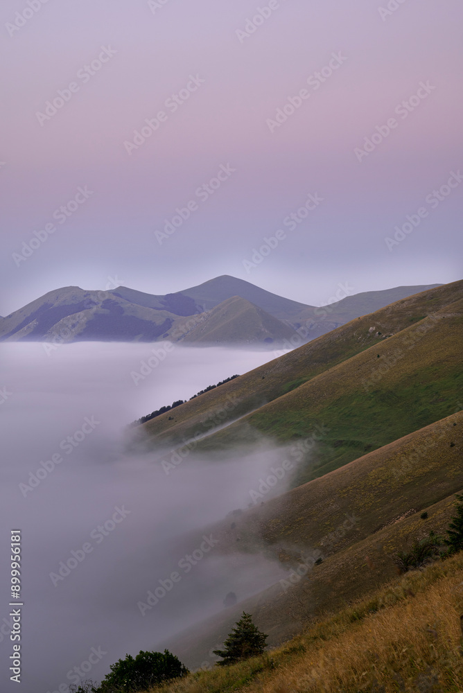 Foggy Landscape at Dawn Foggy Landscape at Dawn