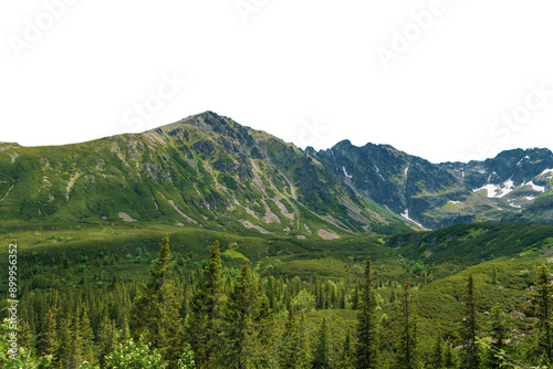 Beautiful mountain landscape in summer. Rocks, mountainous terrain. Isolated object. Tatra Mountains, Poland.