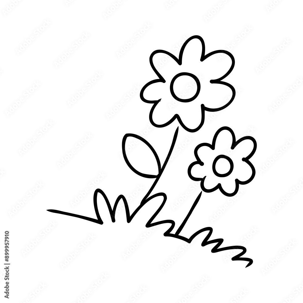 illustration of a flower sketch on white background illustration of a flower sketch on white background