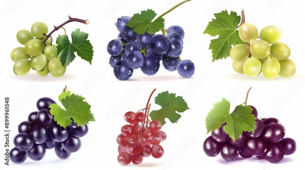 collection of red and white table grapes on a white background collection of red and white table grapes on a white background