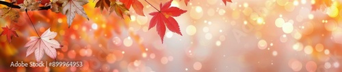 Autumn Leaves in Bokeh