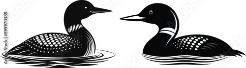  loon silhouette vector illustration on white back ground  photo