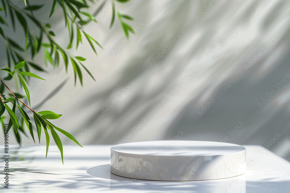 Minimalist Willow Leaves and Stone Podium: A Serene and Natural Setting for Product Display in Clean Aesthetic Minimalist Willow Leaves and Stone Podium: A Serene and Natural Setting for Product Display in Clean Aesthetic