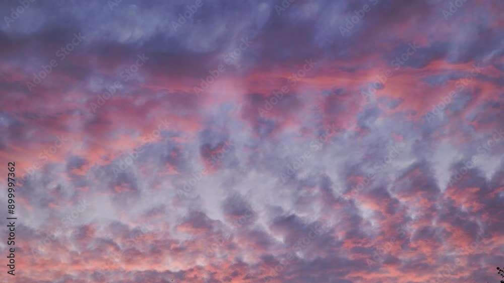 Red clouds floating in the evening darkening sky.