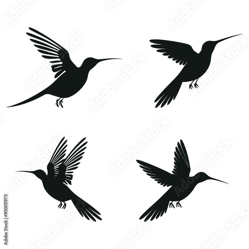 a series of birds with one that has the number 3 on it