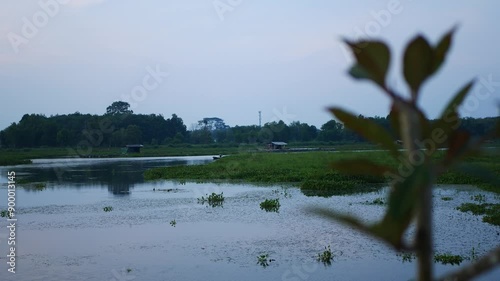 lake and trees