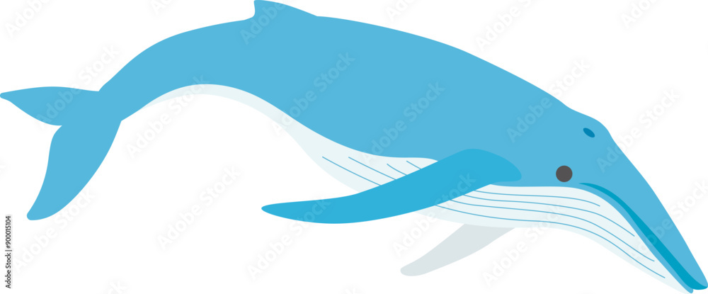 Obraz premium クジライラスト デフォルメ3 ザトウクジラをデフォルメイラストで可愛く描きました。