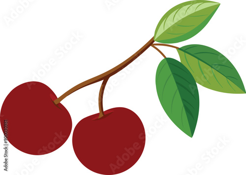 cherry on a branch on white background  