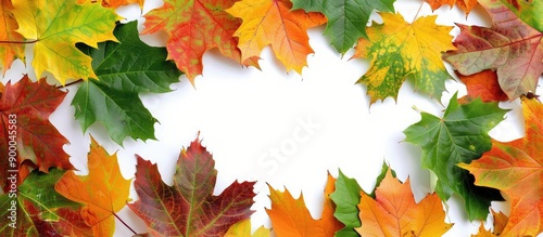Colorful autumn leaves arra...