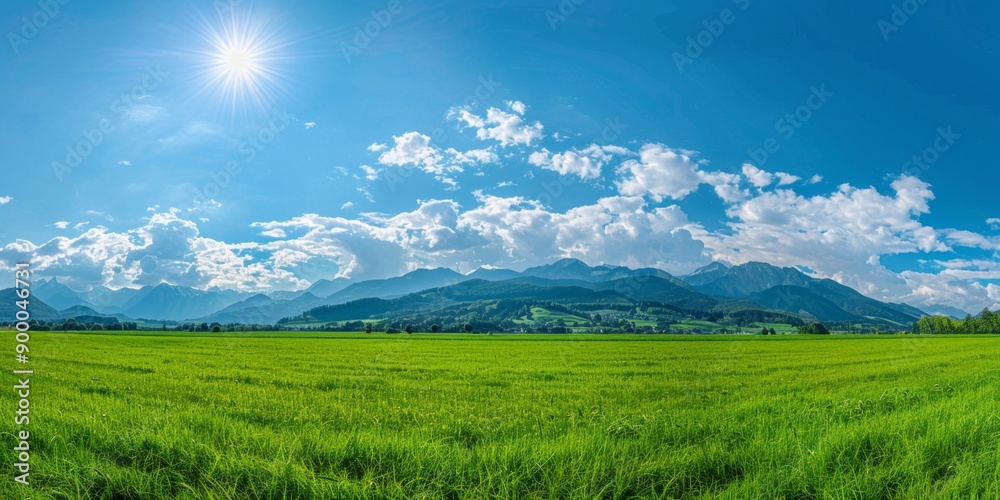 Obraz premium Breathtaking Panoramic Natural Landscape: Lush Green Meadow Under Vibrant Blue Sky with Fluffy Clouds and Majestic Mountains. Idyllic Scenery Perfect for Relaxation, Outdoor Adventure, and Environment