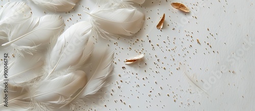 Flat lay of fluffy white go...