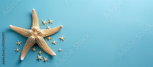 Starfish on a serene blue b...