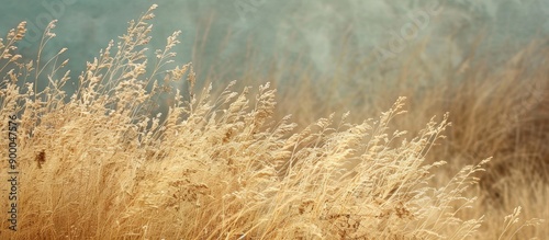 Nature themed wallpaper wit...