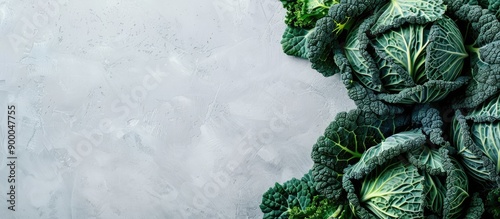 Cabbage displayed by itself...