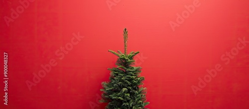 A Christmas tree is display...