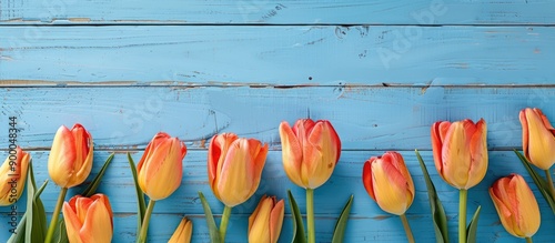 Tulips in orange and yellow...