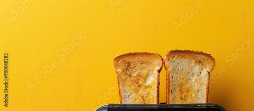 Toast slices popping out of...