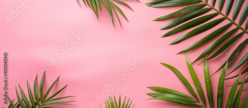 Top view of palm branches o...