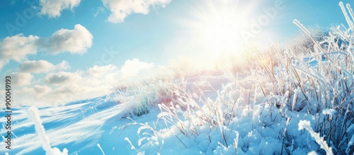 Winter scenery on a sunny d...