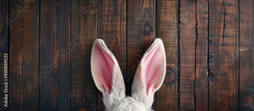 Top down view of the Easter...