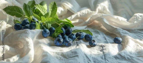 Morning light casts a soft ...