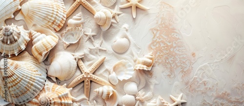 Paper featuring seashells a...