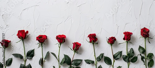 Red roses displayed on a wh...