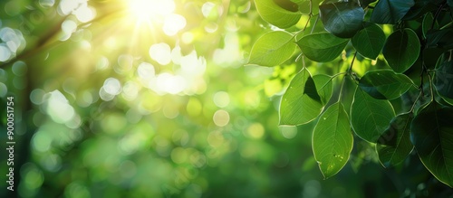 Blurry natural background w...